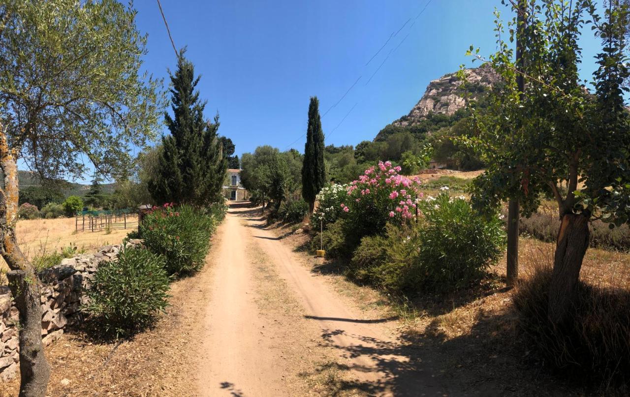 Agriturismo La Casa Delle Fate Loiri Porto San Paolo Екстериор снимка