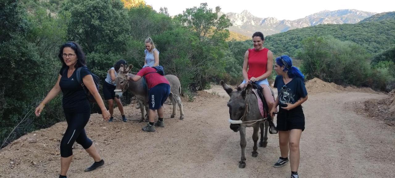 Agriturismo La Casa Delle Fate Loiri Porto San Paolo Екстериор снимка