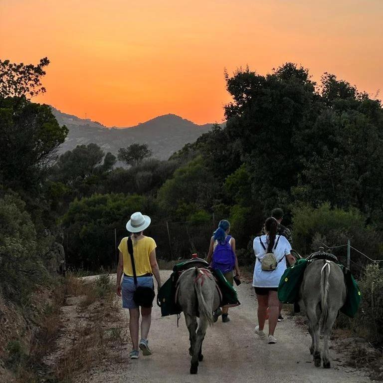 Agriturismo La Casa Delle Fate Loiri Porto San Paolo Екстериор снимка