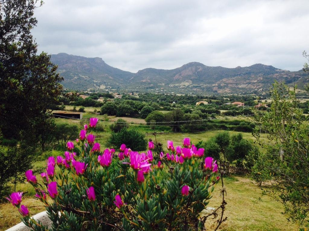 Agriturismo La Casa Delle Fate Loiri Porto San Paolo Екстериор снимка
