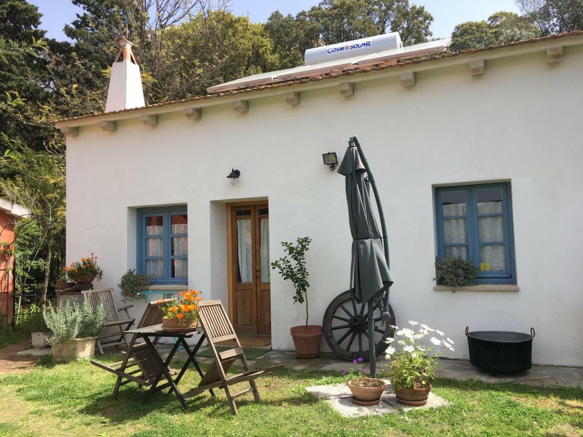 Agriturismo La Casa Delle Fate Loiri Porto San Paolo Екстериор снимка