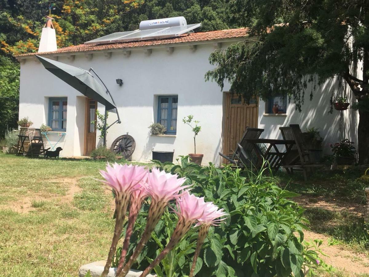 Agriturismo La Casa Delle Fate Loiri Porto San Paolo Екстериор снимка